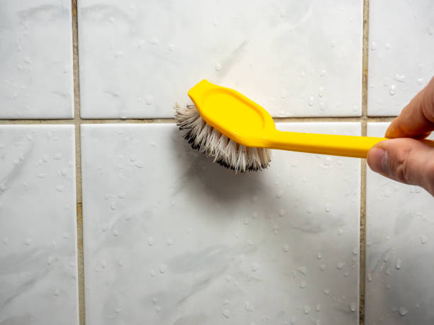 Best Home Mold Removal  in Rochester, IN